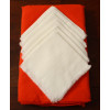 Orange Rectangular Mexican Tablecloth 6 Napkins