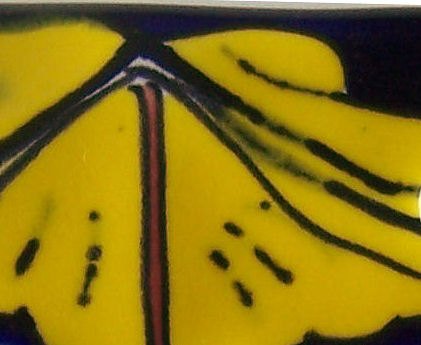 TalaMex Marigold GFI/Rocker-Outlet Mexican Talavera Ceramic Switch Plate Close-Up