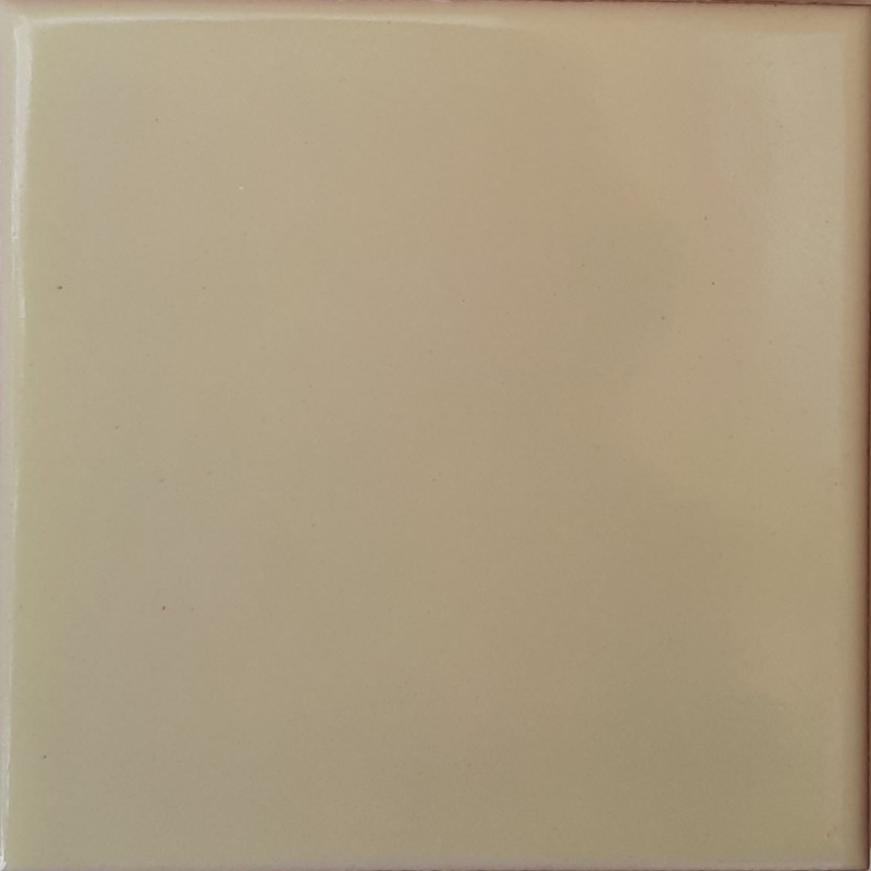 Mexican White Talavera Tile