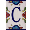 TalaMex Mexican Talavera Mission Tile House Letter C