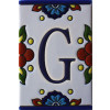 TalaMex Mexican Talavera Mission Tile House Letter G