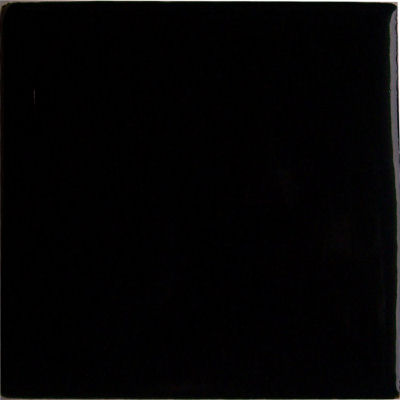 TalaMex Black Talavera Mexican Tile